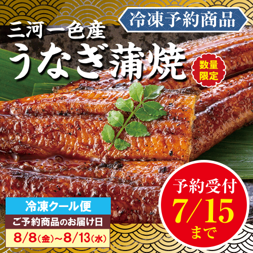 【予約商品】三河一色うなぎ蒲焼