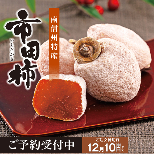 【予約限定品】市田柿